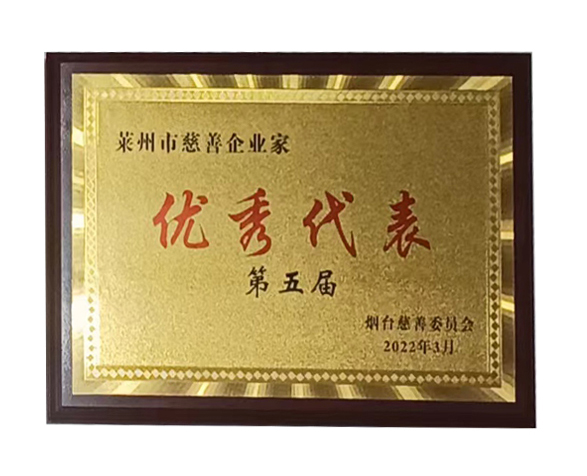 慈善企業家 慈善企業家